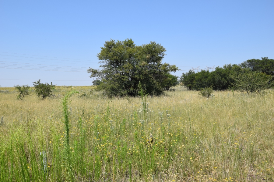 0 Bedroom Property for Sale in Naudeville Free State